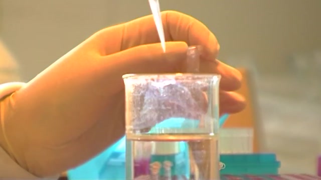 Poster for Faglaborant