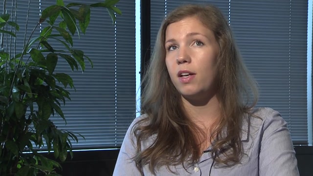 Poster for IT- Konsulent