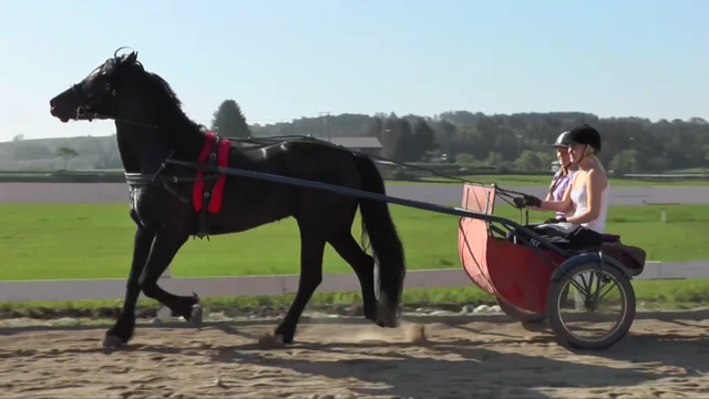 Poster for Naturbruk