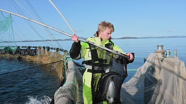 Poster for VG2 Akvakultur